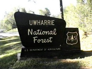 Backpacking @ Uwharrie National Forest | Troy | North Carolina | United States