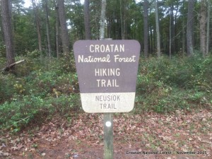 Croatan National Forest – November 2015