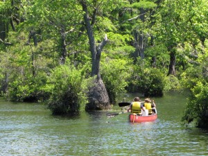 Canoeing @ Merchant Millpond State Park | Gatesville | North Carolina | United States